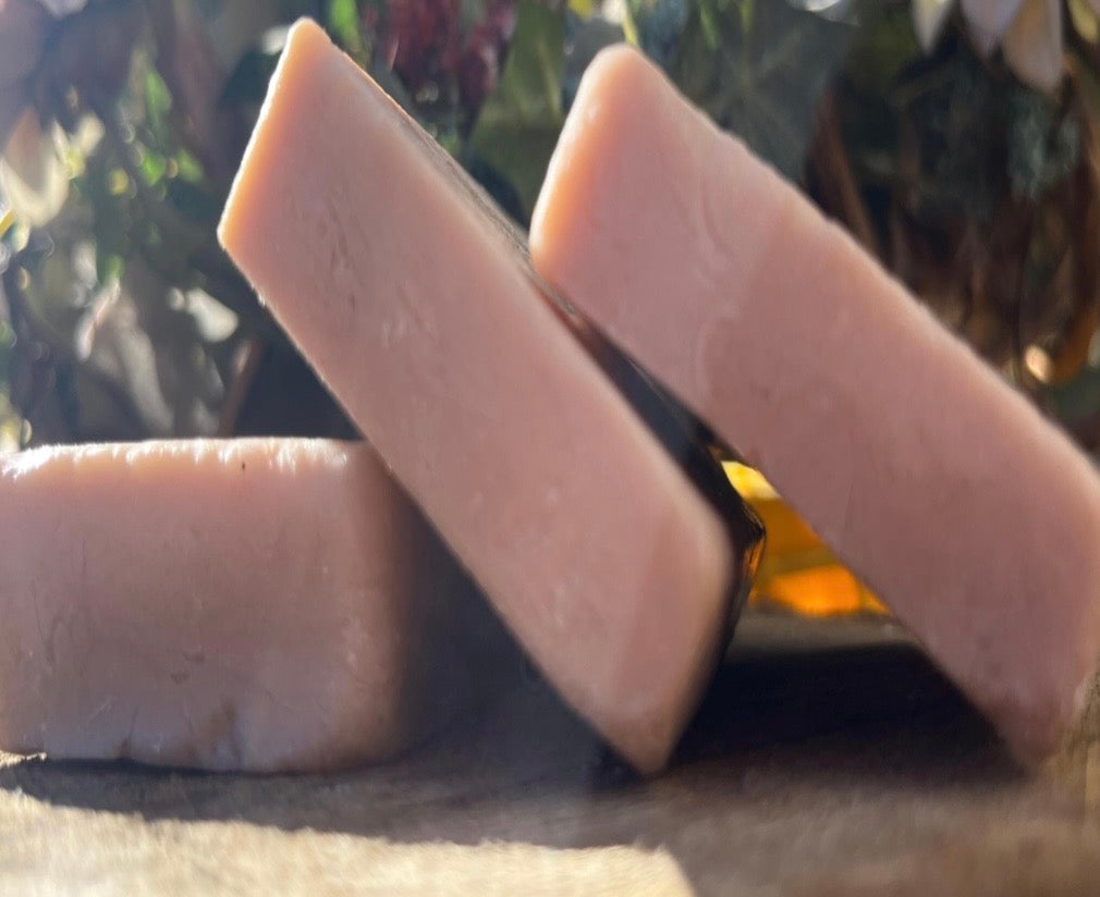 Organic Aloe + Honey Body Bar