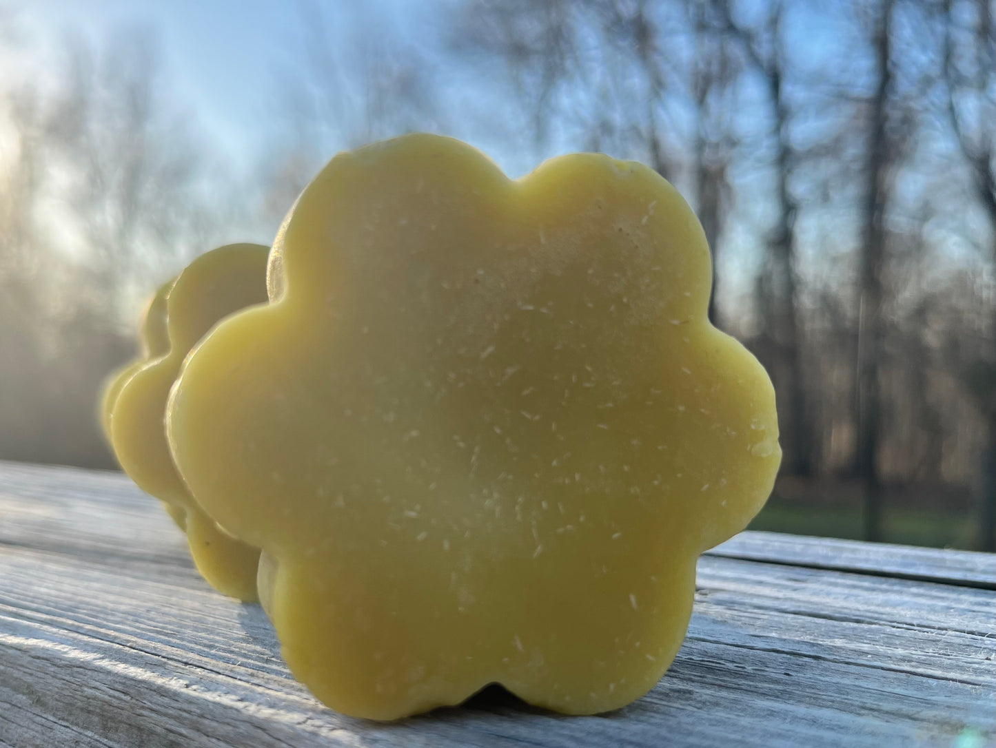 Organic Calendula Lotion Bar