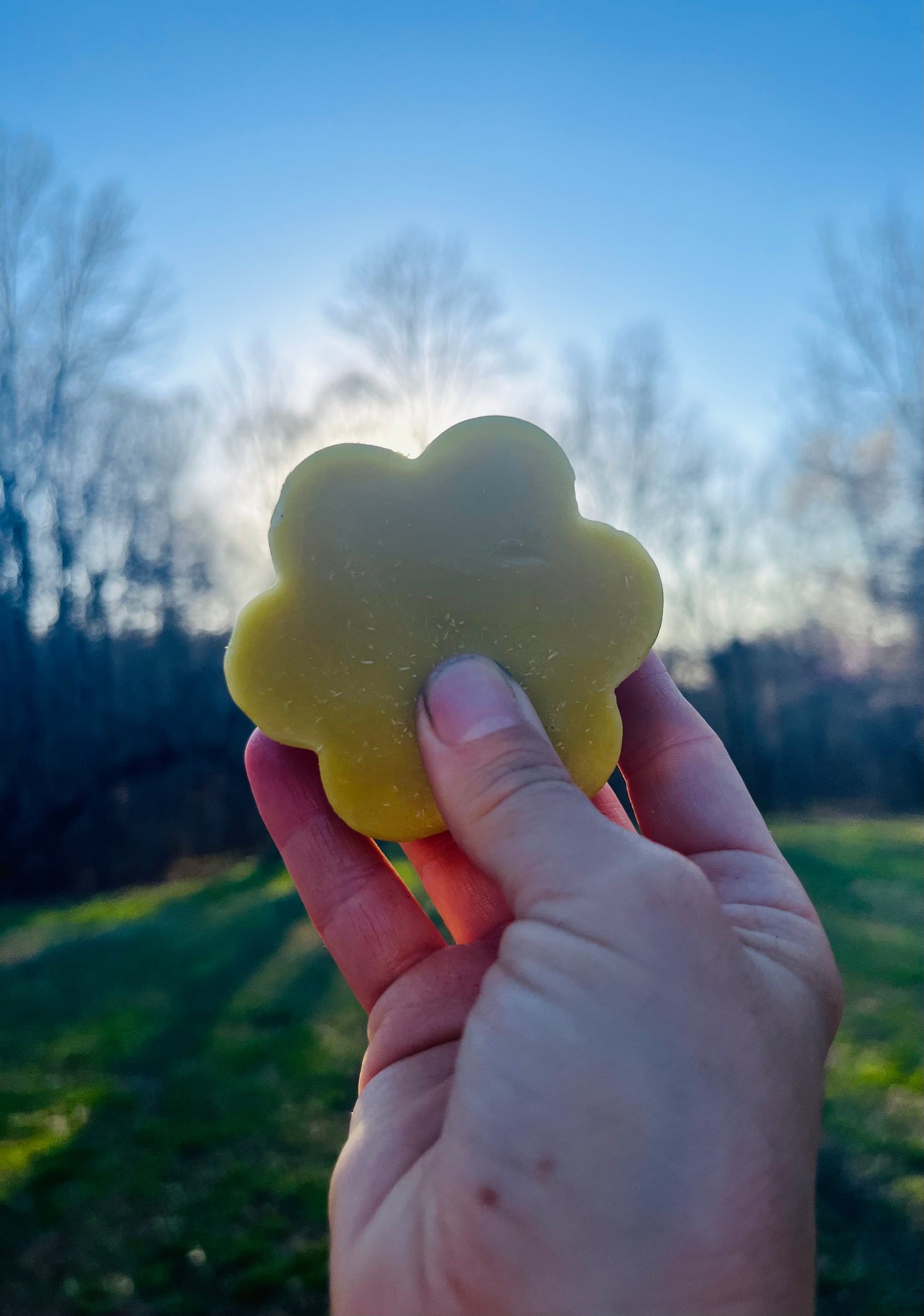 Organic Calendula Lotion Bar