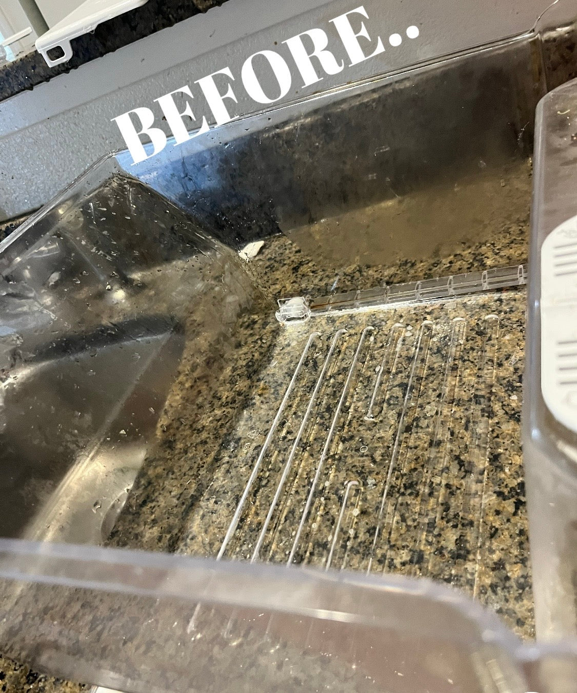 Solid Bar Dish Soap
