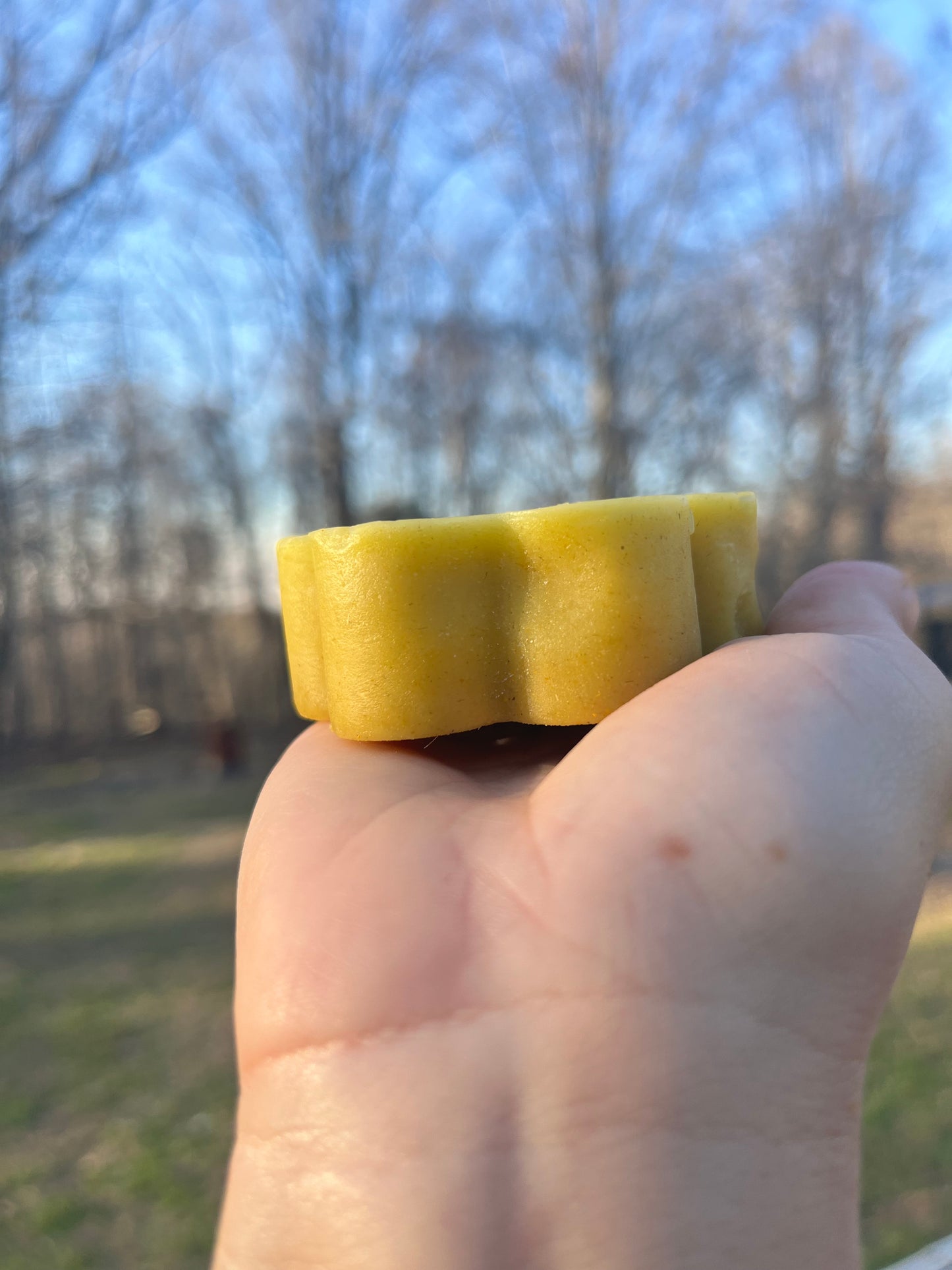 Organic Calendula Lotion Bar
