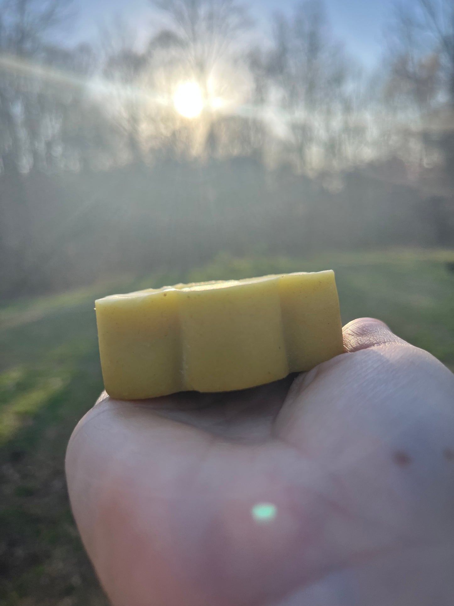 Organic Calendula Lotion Bar