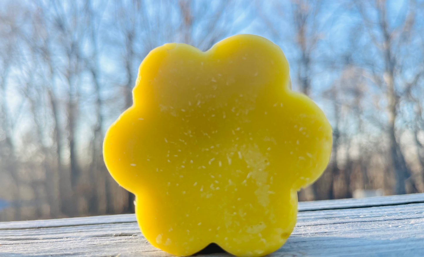 Organic Calendula Lotion Bar